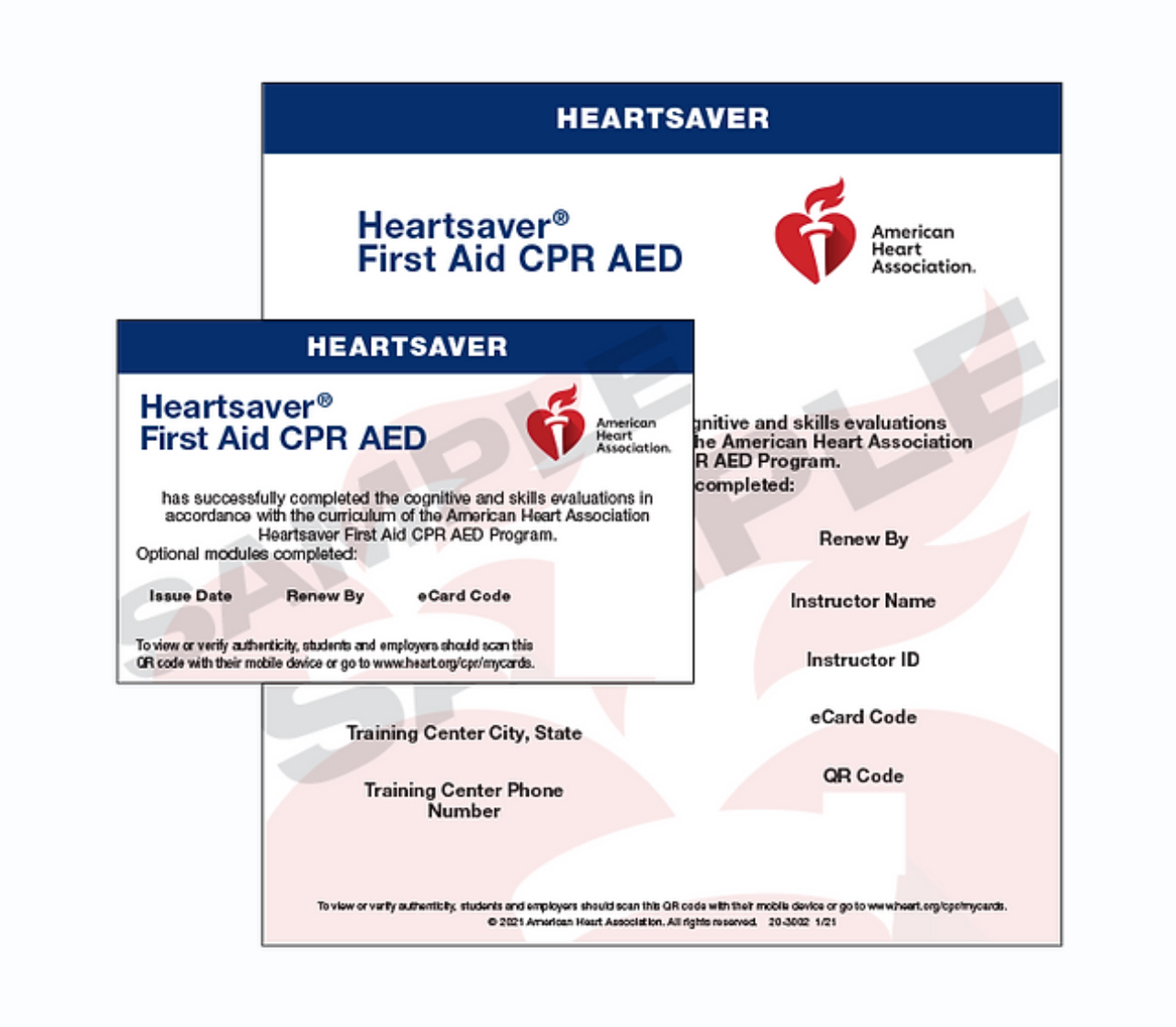 Heartsaver Pediatric First Aid/CPR/AED - Image 3