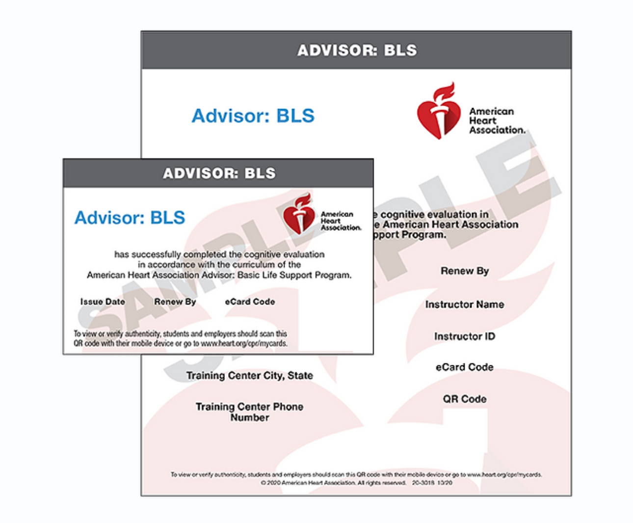 Basic Life Support Cpr For Providers/Renewal - Image 3