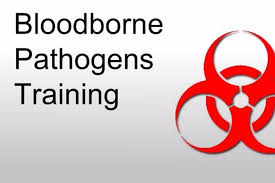 Blood Borne Pathogen