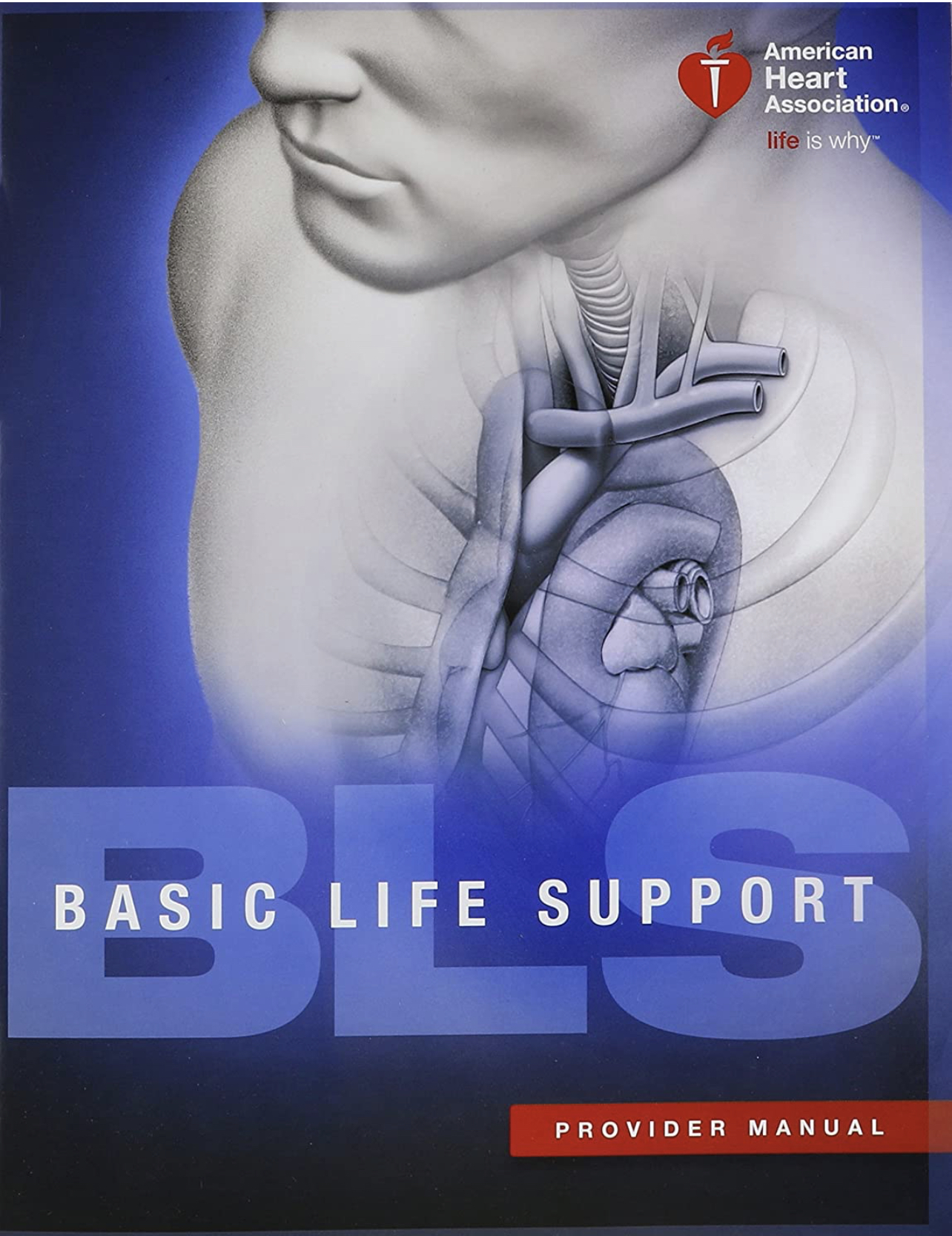 Basic Life Support Cpr For Providers/Renewal