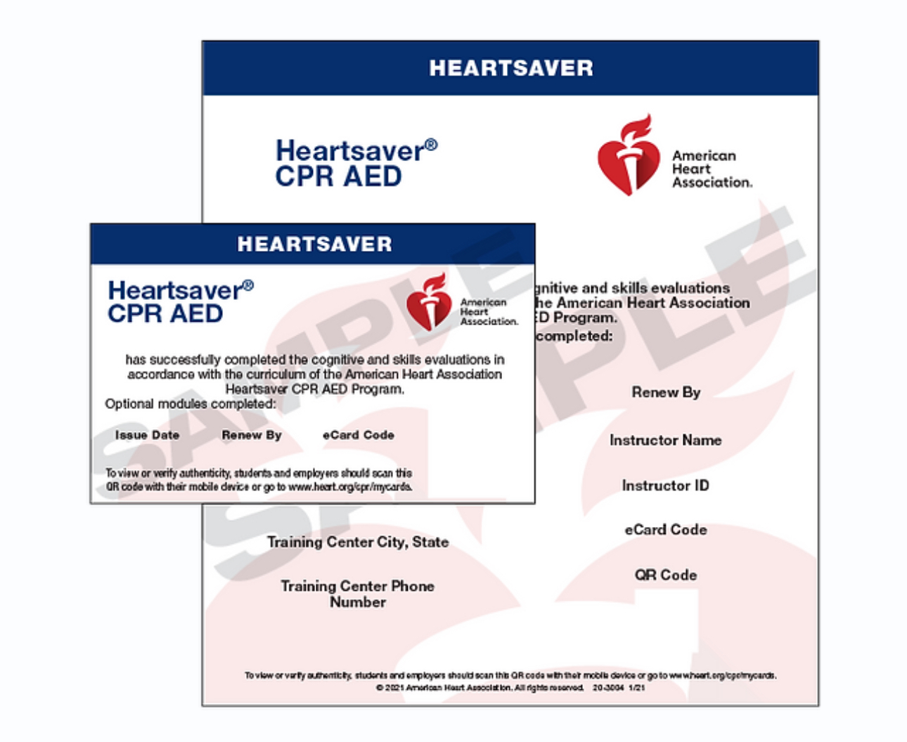 Heartsaver Pediatric First Aid/CPR/AED - Image 4